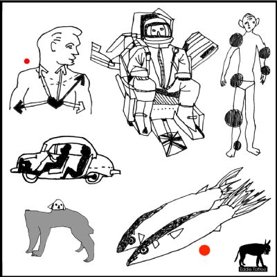pesci sardine cane macchina cuore astronauta pesci sardine cane macchina cuore astronauta